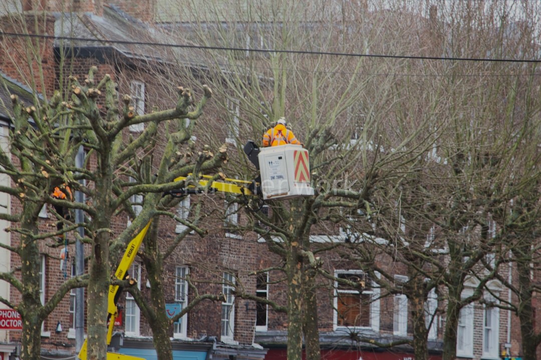 Storm Damage
