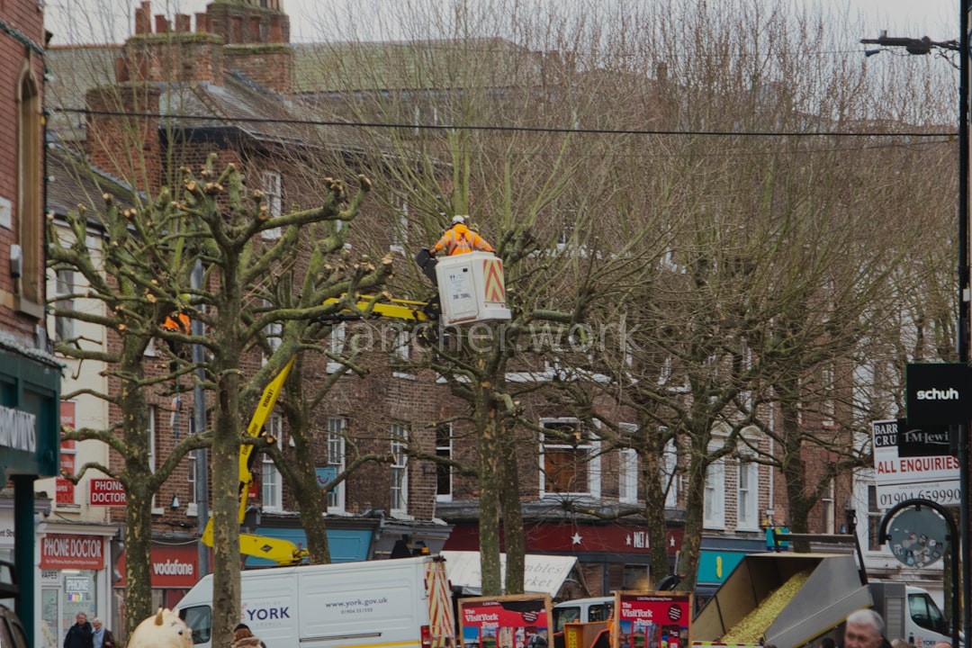 Tree Pruning