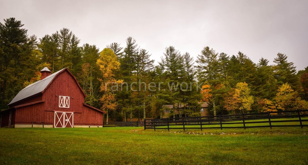 Livestock Grazing