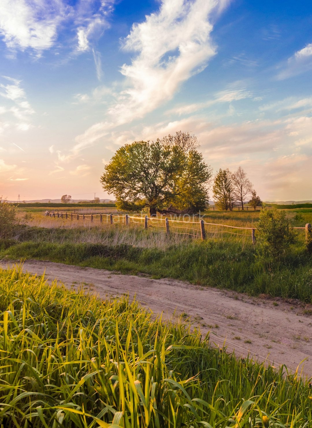 Farm Landscape