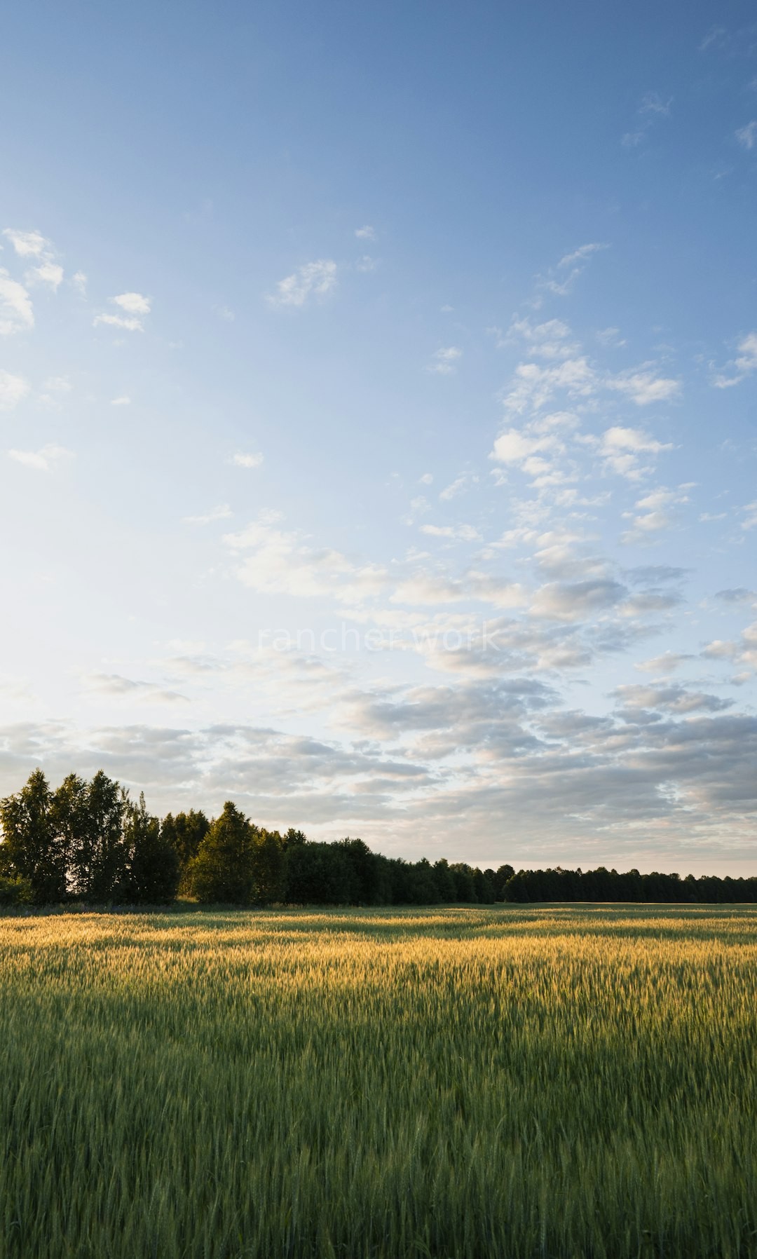 Farm Life 4