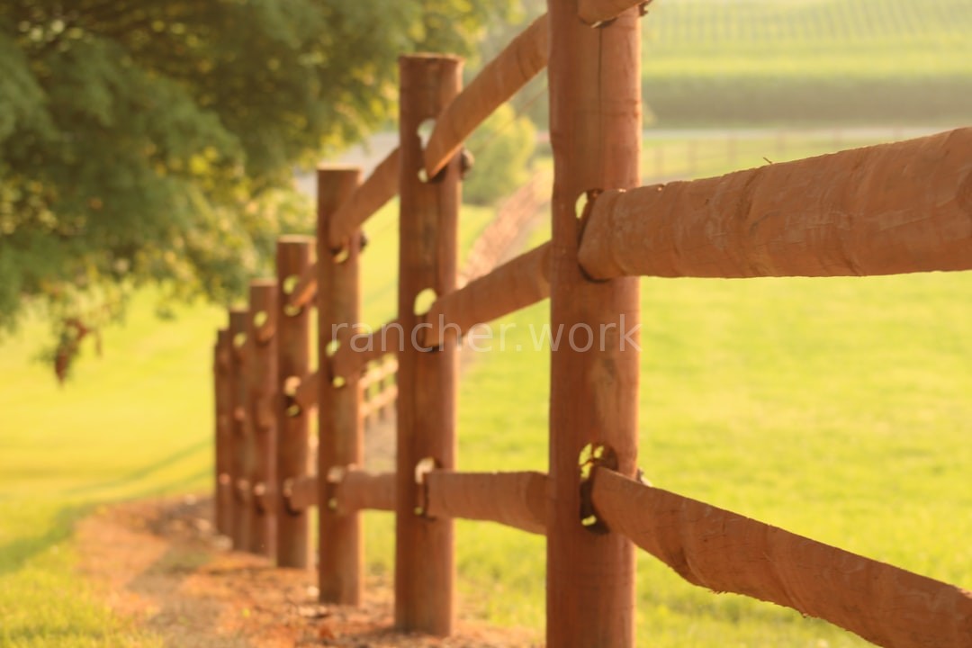 Agricultural Fencing