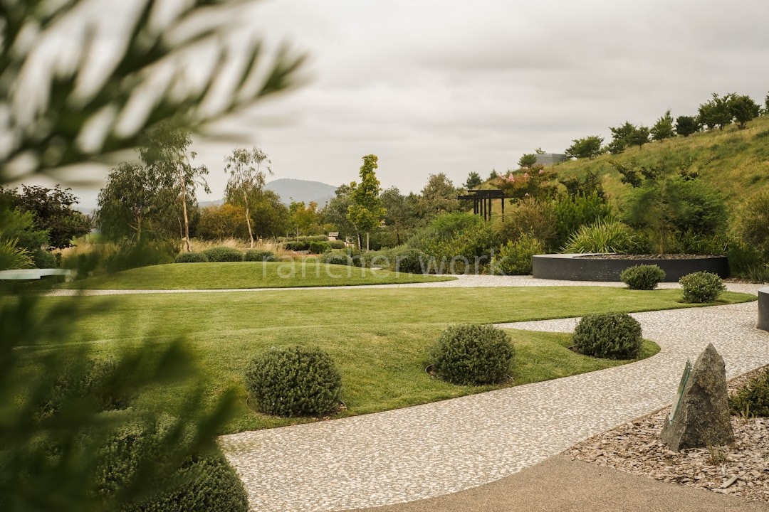 Hardscape