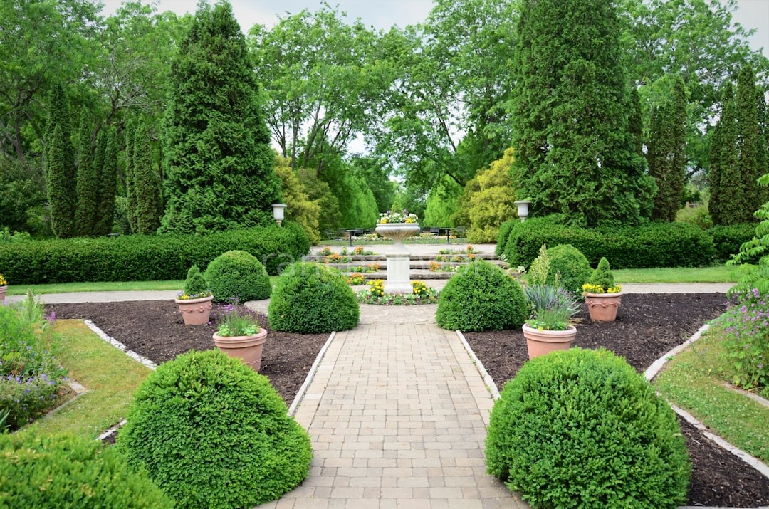 Landscaping Detail