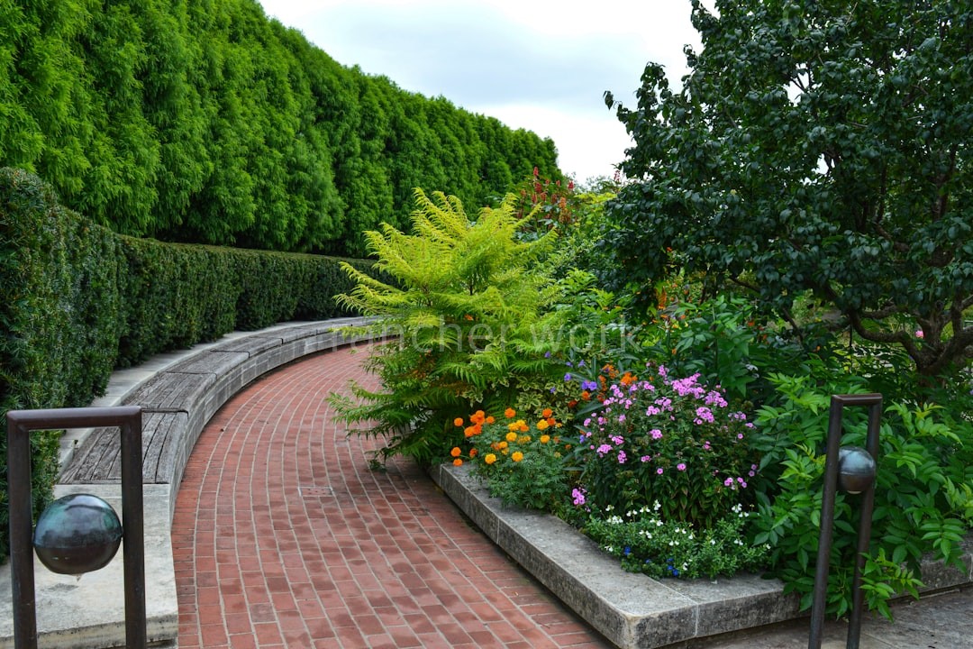 Garden Design